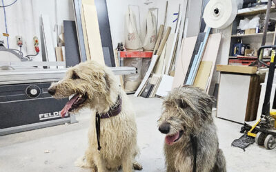 ? Czerwony alarm zanim wybierzesz stolarza!